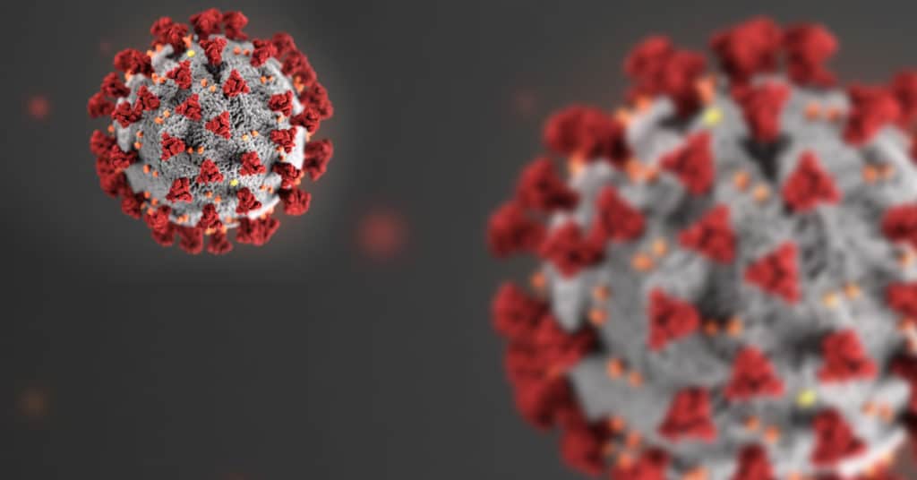 Close-up of the COVID-19, novel coronavirus. Photo courtesy of the Center for Disease Control and Prevention.