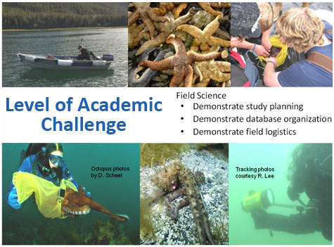 Levels of academic challenge images