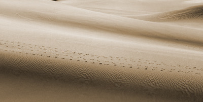 Students in dunes at Death Valley