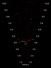 DIDSON image showing four fish passing the sonar.