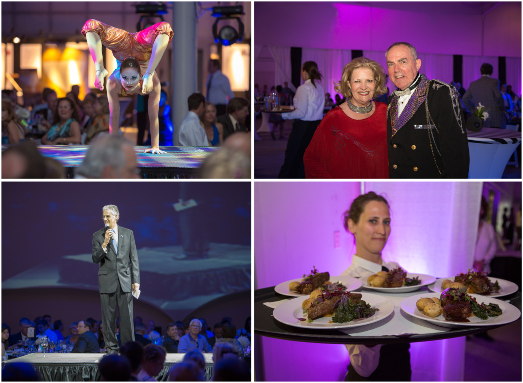 Collage of 2013 Annual APU Gala, including gymnasts, guests and food.