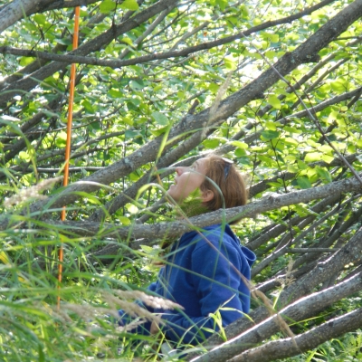 APU student Christina Rinas working in the forest.