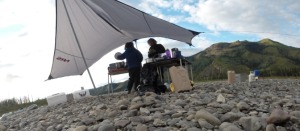 Camp on the banks of the Yukon river.