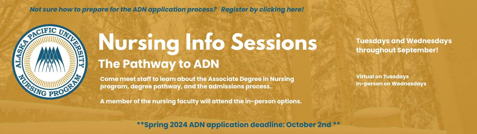 Nursing Info Session Banner (2)