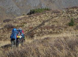 Students backpacking in nature.