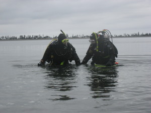 Divers preparing to go underwater.