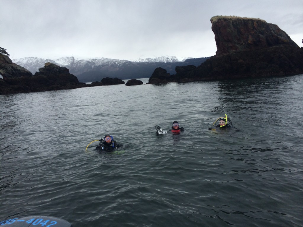 Divers at the Kachemak Bay Research Reserve 