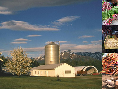 Photo collage of Spring Creek farm and produce and livestock.