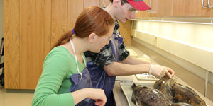 Students studying fish.