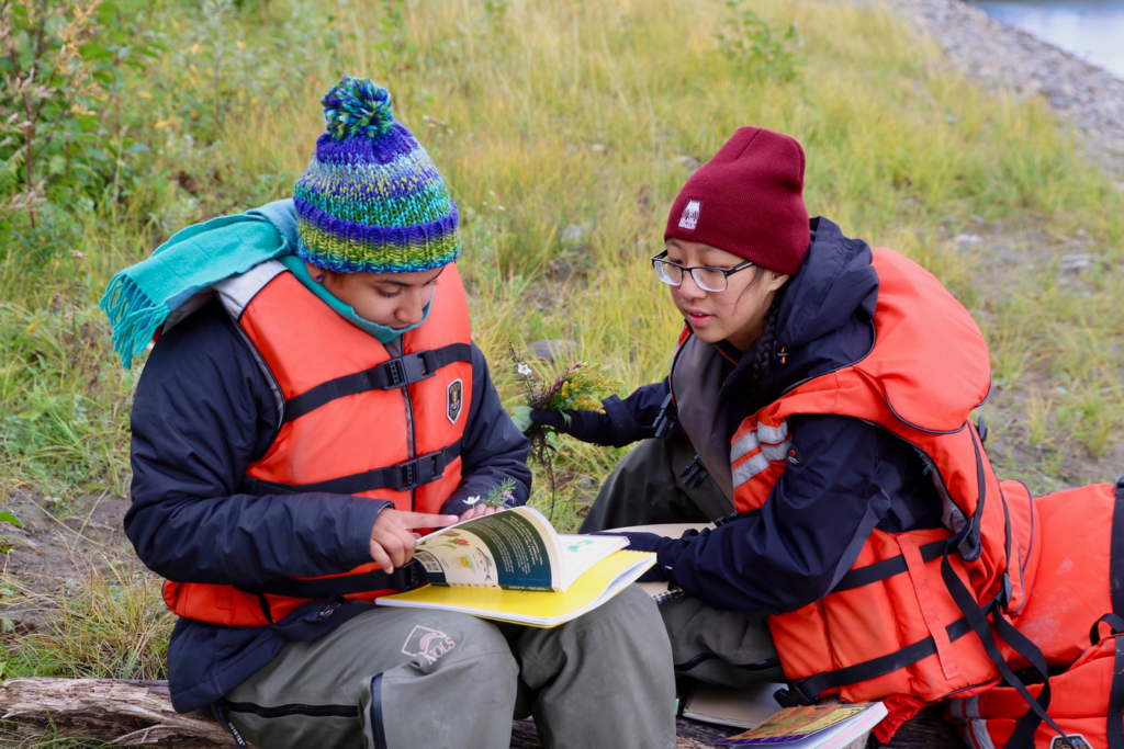 Identifying plants along the Yukon River.