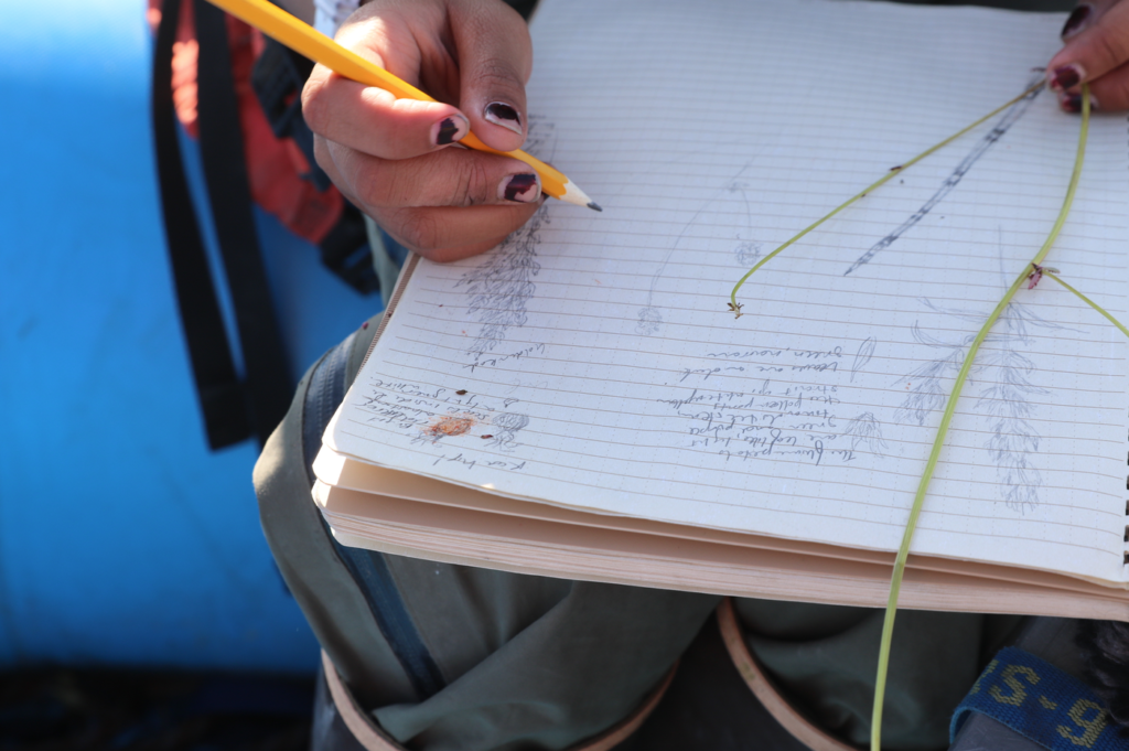 Student's notebook from Yukon River trip.
