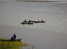 Several canoes on the yukon