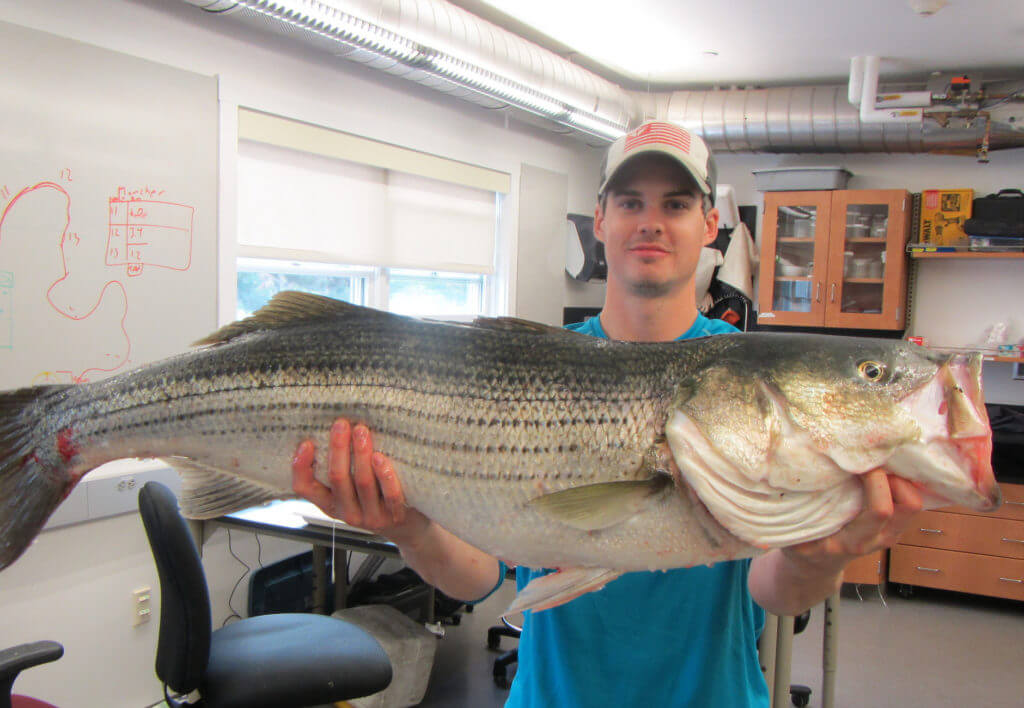 Bobby Murphy has joined the FAST Lab as a postdoc to lend his experience in social dynamics and stakeholder perspectives into fisheries management.
