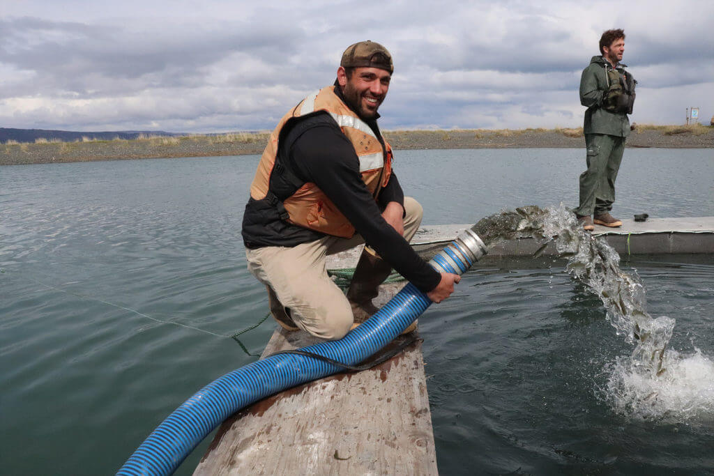 FAST Lab student Cory Lescher helps ADF&G staff restock the Nick Dudiak lagoon on the Homer spit with silver salmon.