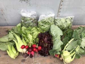 picture of vegetables from the Kellogg farm