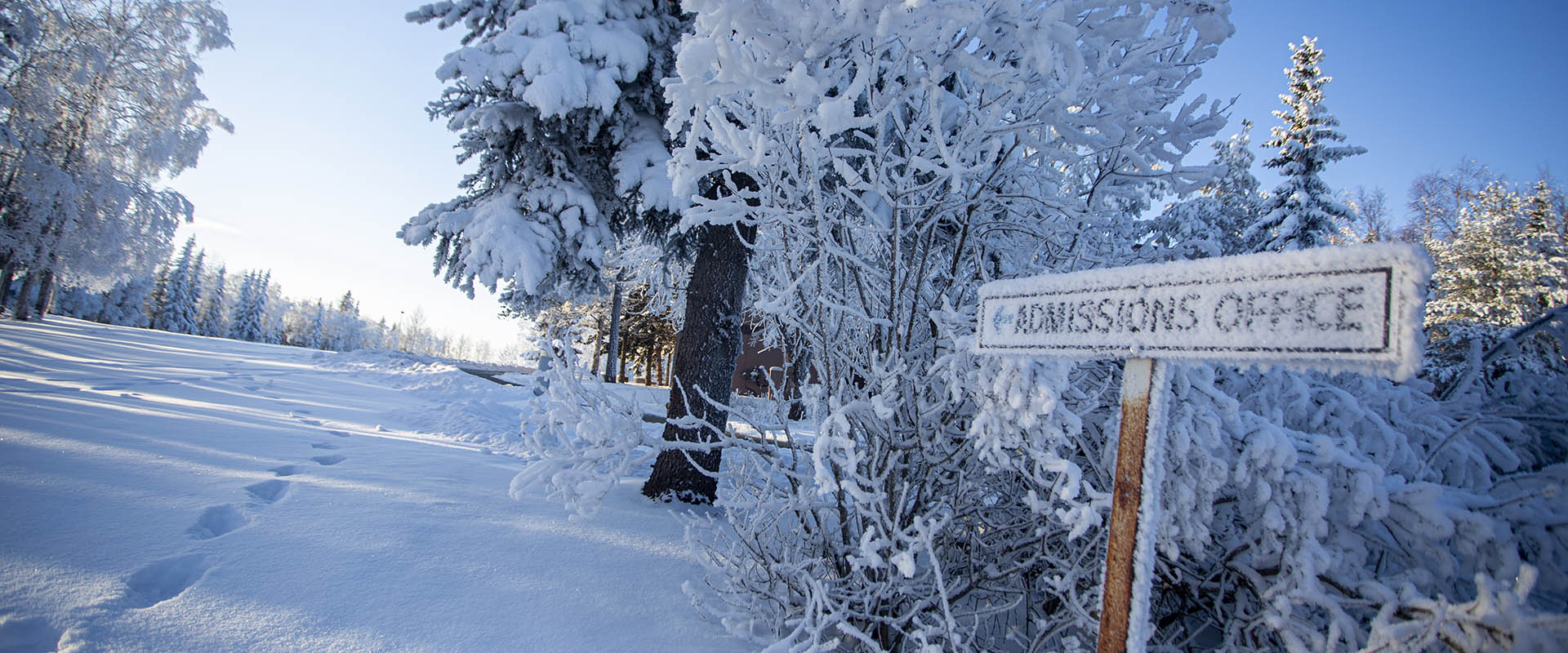 Meet APU Alaska Pacific University