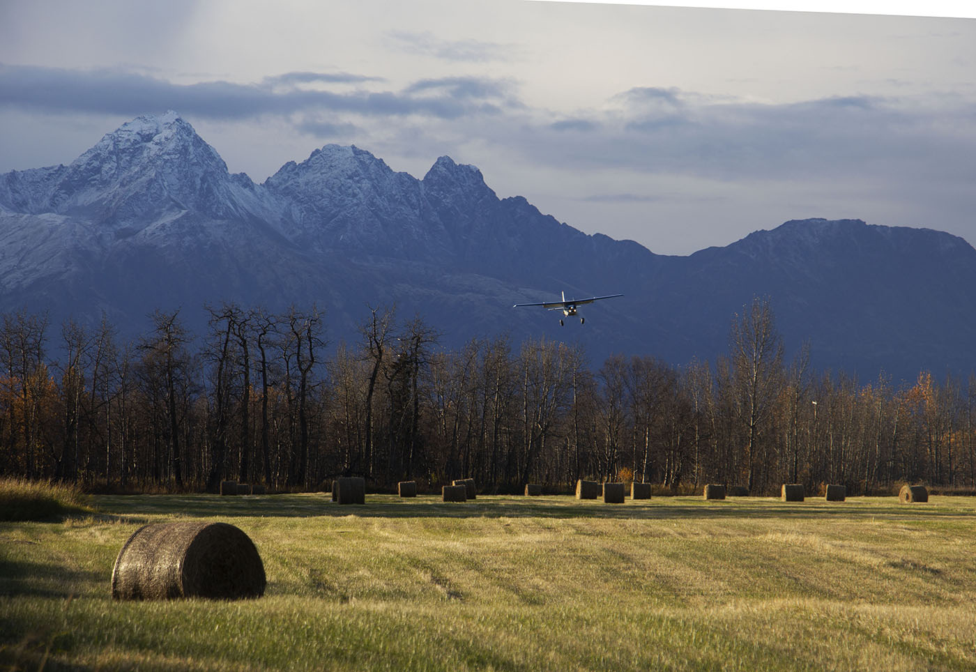small plane landing on a field in Palmer, Alaska