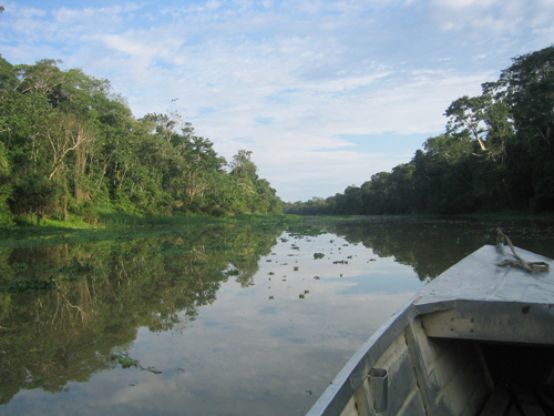 Amazon Blackwater