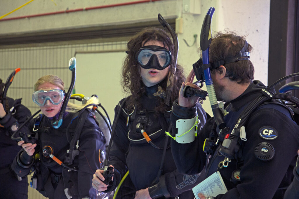 divers in the pool