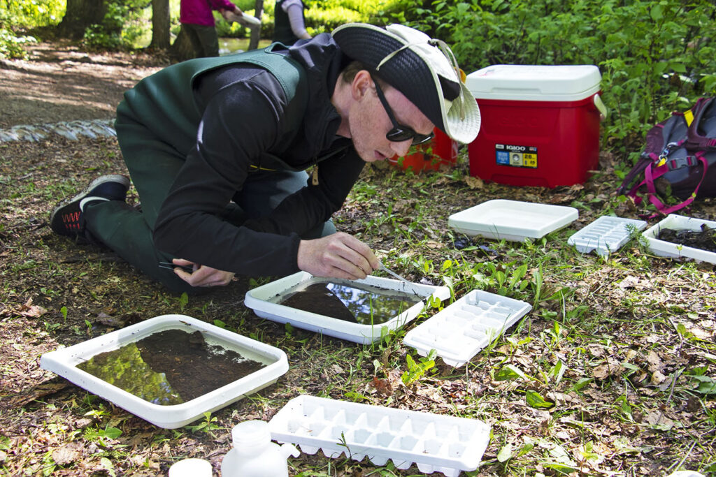students in Chester Creek doing research