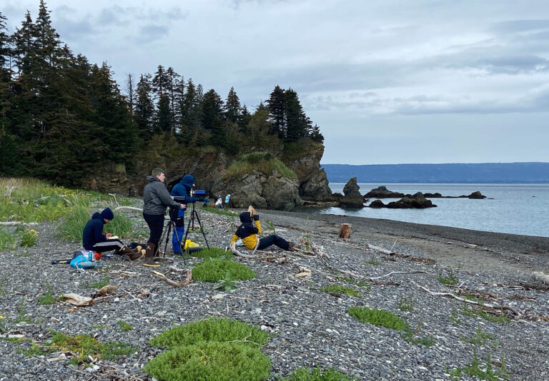 A group of people on a rocky beach with trees and cliffs, engaged in fieldwork with equipment, overlooking the ocean.
