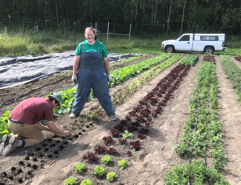 Transplanting and weed free beds, photo courtesy of Ben Swimm