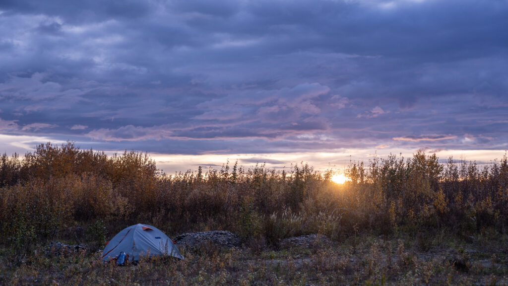 A tent in a grassy field with a sunset casting orange and purple hues across a cloudy sky, surrounded by tall vegetation.