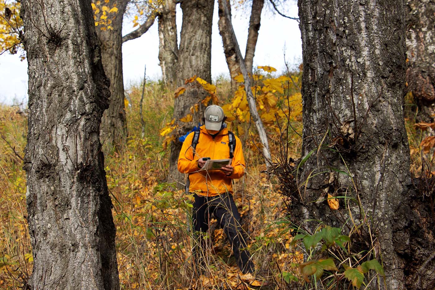 man researching in the woods in the fall