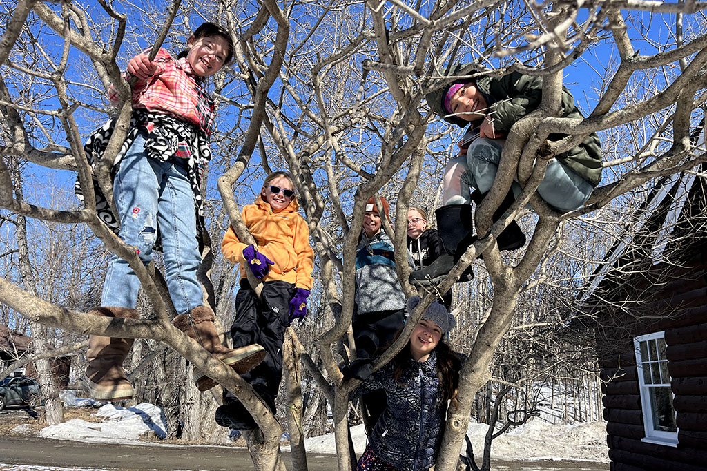 6 kids climbing on a tree on a sunny fall day