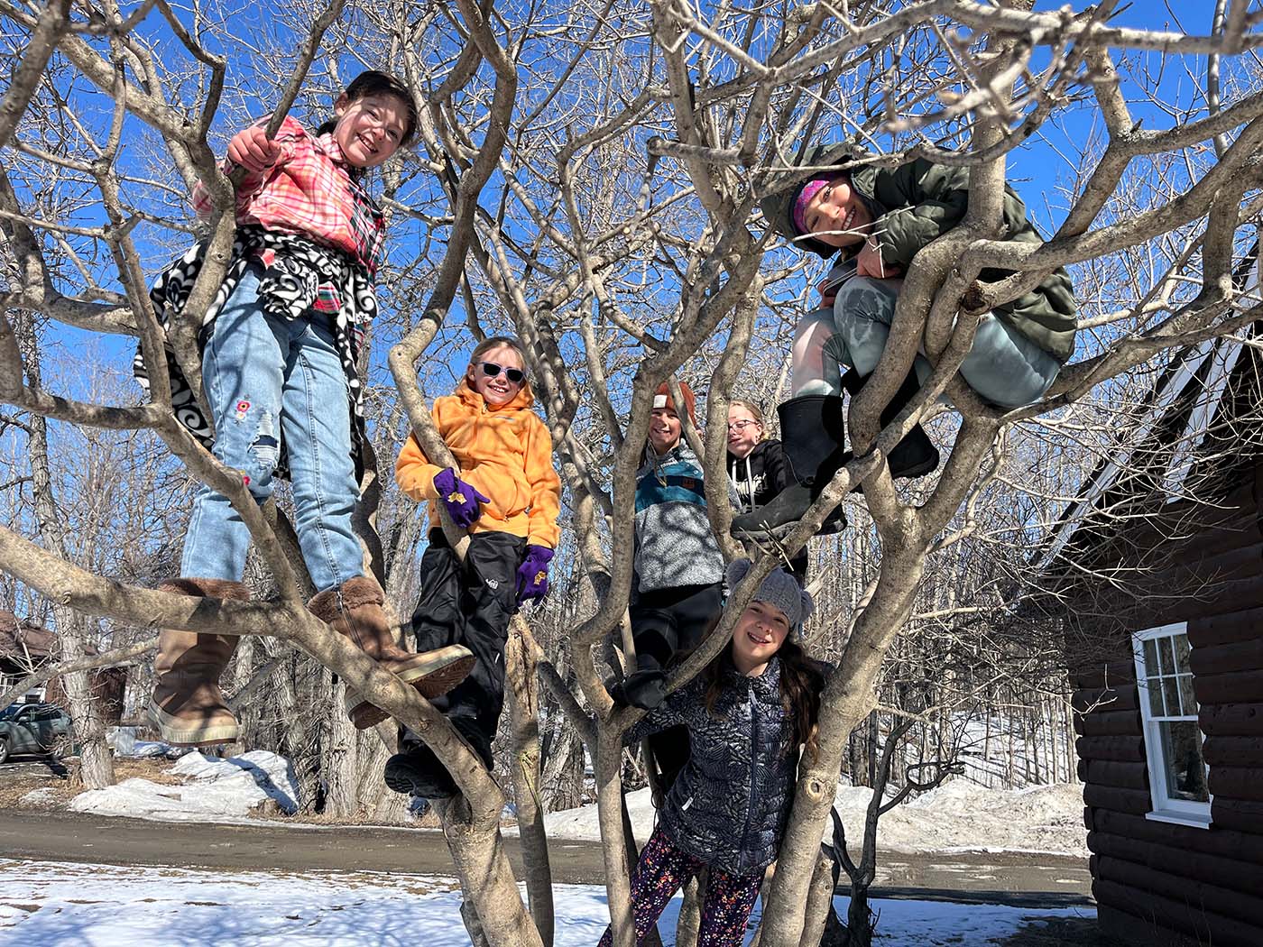 Five children climbing a tree in a snowy yard with a log cabin in the background.
