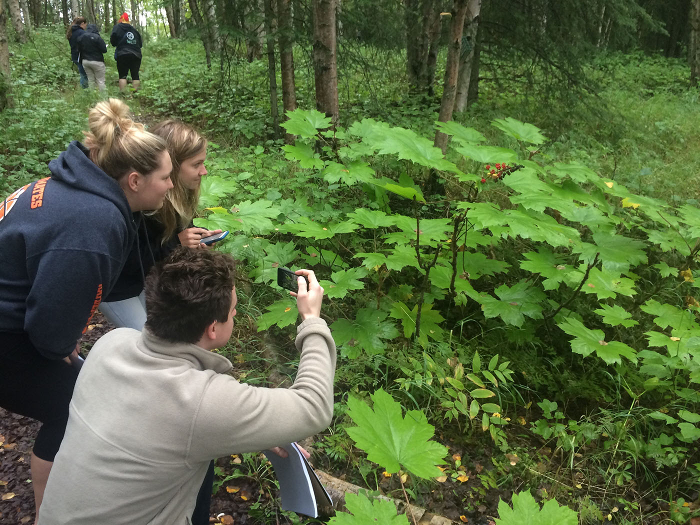 Three people taking photos of plants in a lush forest, with others walking in the distance.