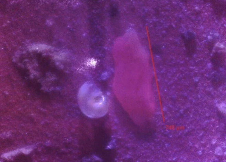 NASA awards APU nearly $5 million for Microplastic Research and Education Center