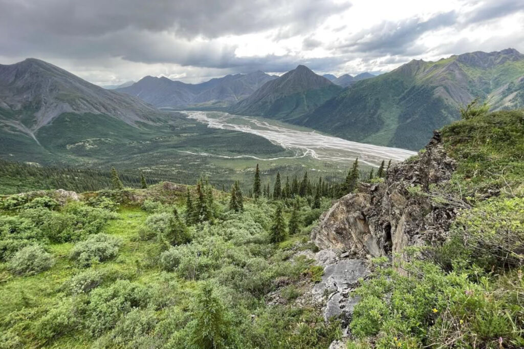 landscape of Alaska in the summer