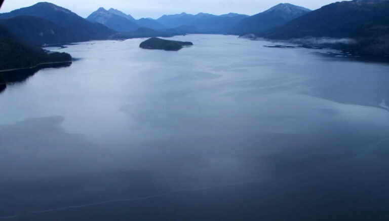 Scientists make stunning discovery in remote corner of Alaska: ‘We were surprised’