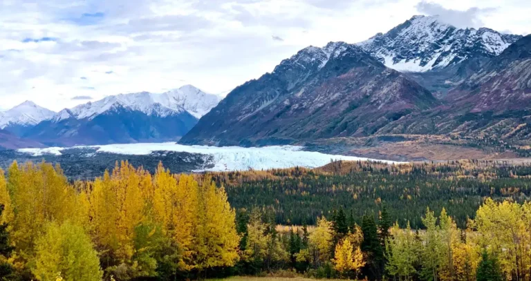 The Student Guide to Studying in Alaska