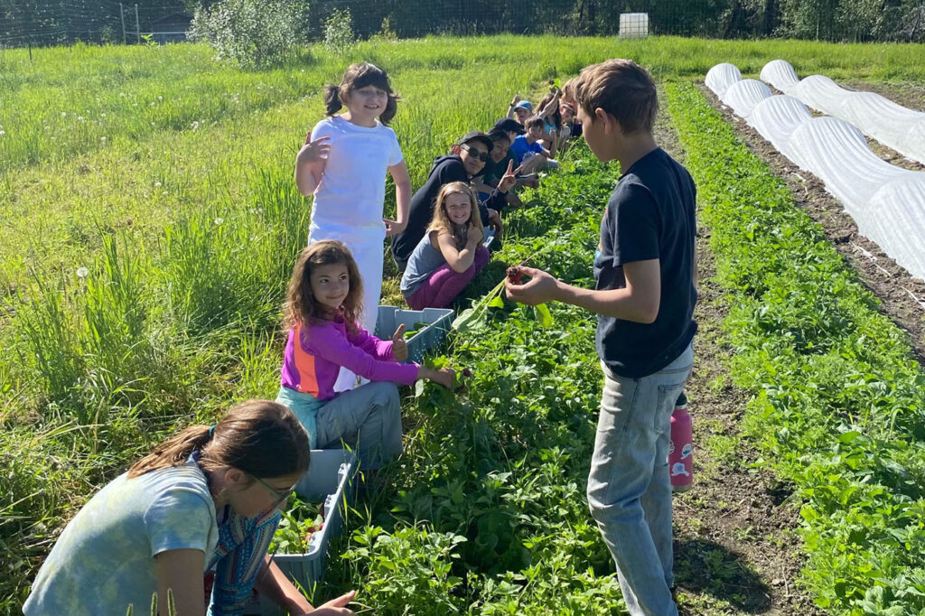 kids working with plants at camp Kellogg
