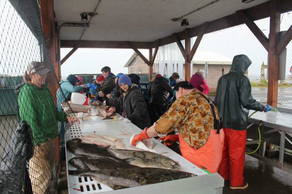 people processing fish