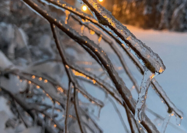 Mental Health for Breakup Season | Line One