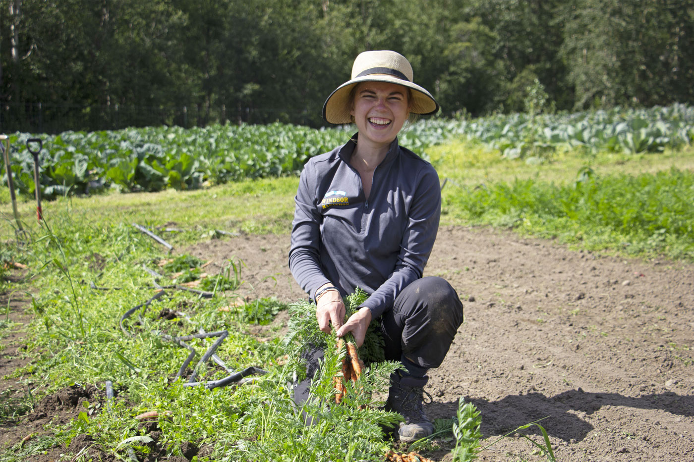 A person crouching in a garden, holding freshly picked carrots, with a field of crops and trees in the background.