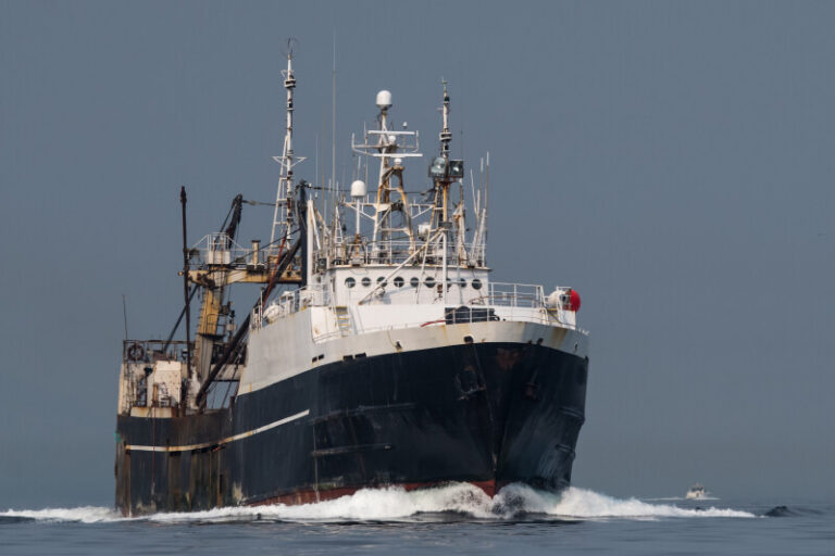 Pelagic trawl debate returns as council weighs next steps on gear performance